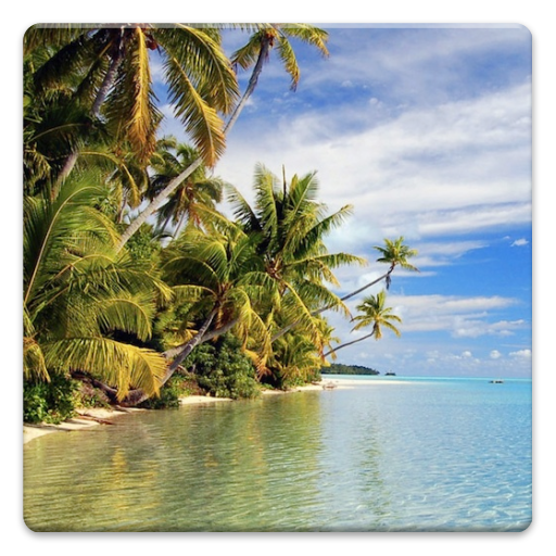 Amazon Co Jp Sea And Tropics Wallpapers Android アプリストア