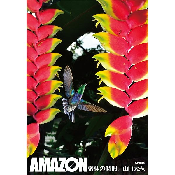 Amazon.co.jp: 最後のアマゾン: 天野尚写真集 : 天野 尚: 本