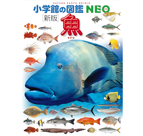 最高のコレクション 深海 魚 イラスト 無料のpng画像