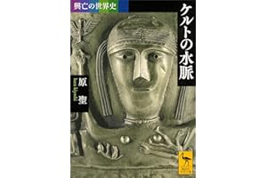 興亡の世界史　ケルトの水脈 (講談社学術文庫)