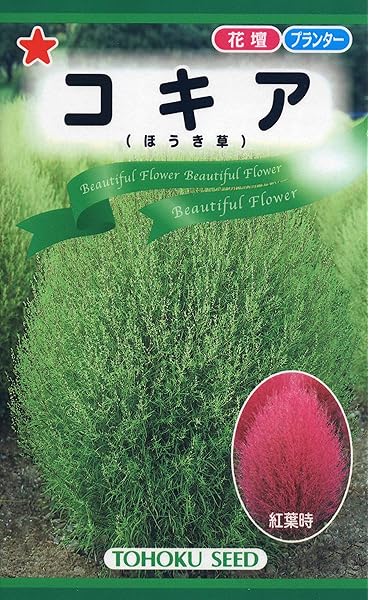 Amazon 株式会社トーホク コキア 花