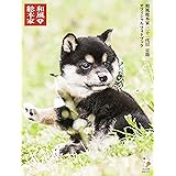 和風総本家 二十一代目 豆助 オフィシャル フォトブック