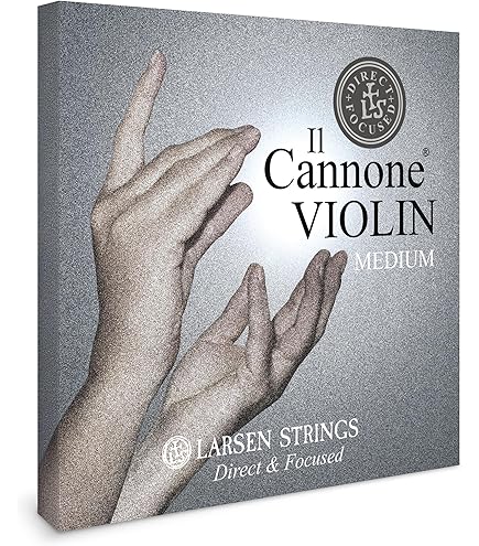 Amazon.co.jp: ラーセン ヴァイオリン Il Cannone SOLOIST セット