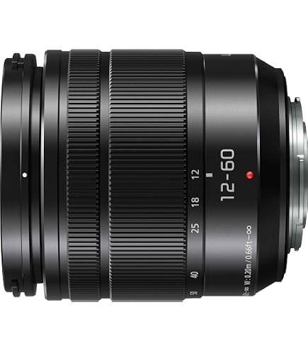 Panasonic Lumix G Vario 14-140mm Telephoto Zoom Lens with F3.5-5.6