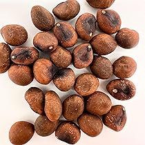 【新鮮】ボンバックス　自家採取種子　20粒　ネコポス発送 新鮮】ボンバックス 自家採取種子 20粒 ネコポス発送 新鮮】ボン