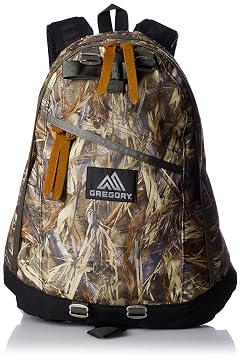 Gregory Day Pack
