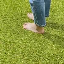 Amazon.co.jp: タカショー リアル 人工芝 1m×10m グリーン 芝丈30mm