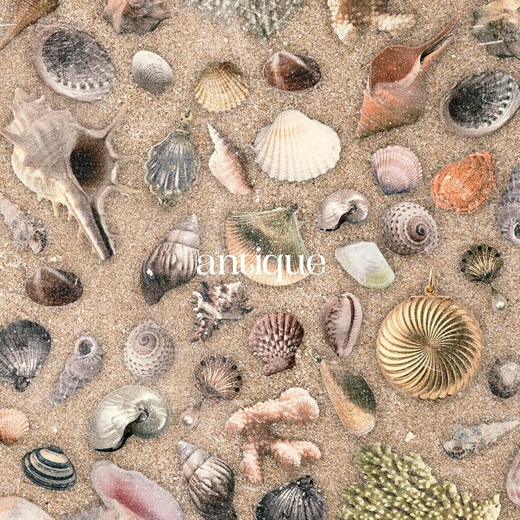 Amazon.co.jp: おいしくるメロンパン, -, - : 【Amazon.co.jp限定