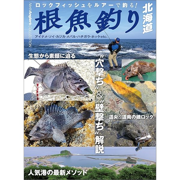 水交社 北海道のつり 北海道の釣り バックナンバー 大量 99冊セット 釣り情報 81z6nMgGmvL._UF350,350_QL50_.jpg
