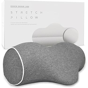 Amazon.co.jp 最新リリース: ネックピロー の新着ランキングです。