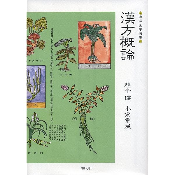 臨床応用 漢方処方解説:増補改訂版 (東洋医学選書) | 道明, 矢数 |本