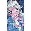 ディズニー - エルサ (Queen Elsa of Arendelle),ブルーニ（Bruni） XFVGA(480×854)壁紙 310105