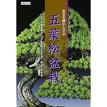 匠の技 盆栽技術集: KBムック |本 | 通販 | Amazon