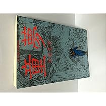 91w76KlcEgL._AC_UL210_SR210,