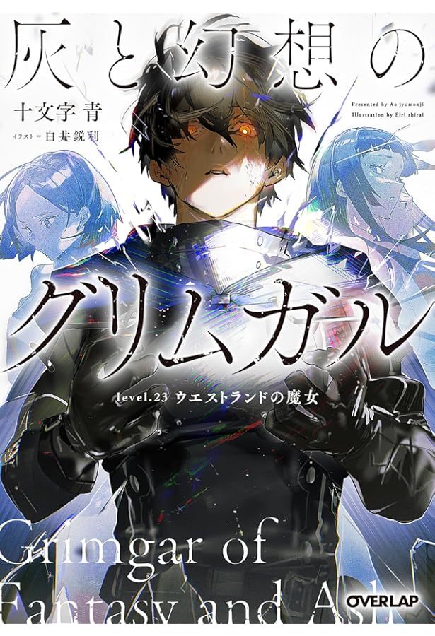 全巻初版帯付きクリアカバー付き 灰と幻想のグリムガル1〜22 おまけ付き計27冊 灰と幻想のグリムガル level.22 生と死の狭間で僕らは咲いていて