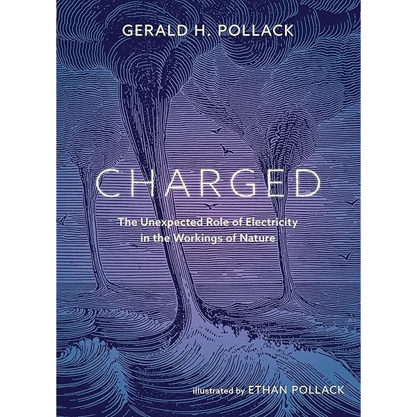 Amazon | The Fourth Phase of Water: Beyond Solid, Liquid, and