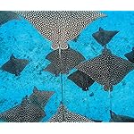 海の生き物 Android(960×800)待ち受け 2022 the Ocean Unseen Wall Calendar 海の生き物 Android(960×800)待ち受け 2022 the Ocean Unseen Wall Calendar