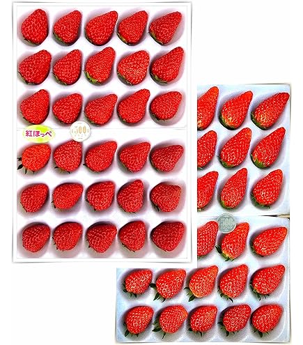Amazon.co.jp: 夏の常識を超えた甘さ 最高級 夏いちご 「彩夏 あやか