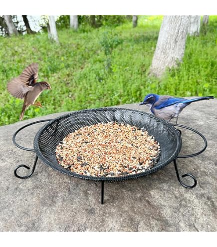 鳥のエサ GIVERNY Amazon | Wagner's 82072 Gourmet Nut & Fruit Wild Bird Food