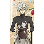 とんがり帽子のアトリエ XFVGA(480×854)壁紙 キーフリー