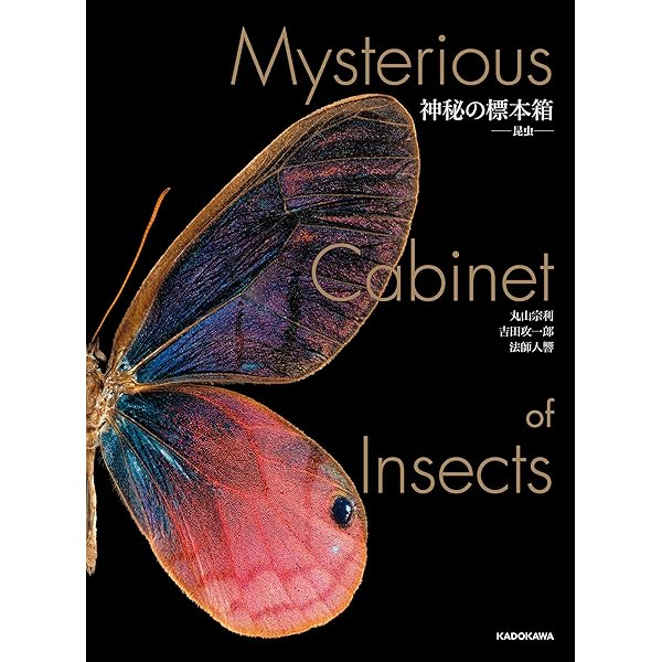 Amazon.co.jp: 驚異の標本箱 ‐鉱物‐ (角川書店単行本) eBook : 渡邉 克晃, Amazon.co.jp: 驚異の標本箱 ‐鉱物‐ (角川書店単行本) eBook : 渡邉 克晃,