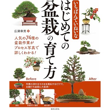 Amazon.co.jp 売れ筋ランキング: 盆栽 の中で最も人気のある商品です