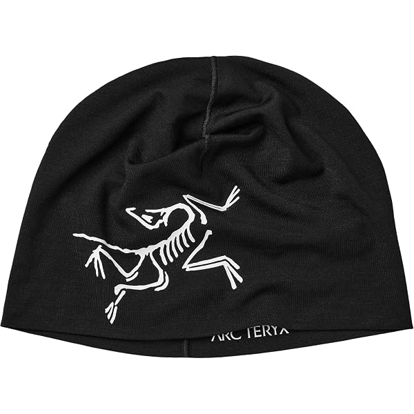 Amazon | [アークテリクス] Rho Toque ロー トーク X000007284 Tatsu L