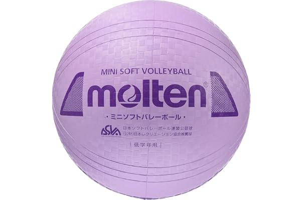 以上節約 Molten レクリエーションバレーボール Official Size And Weight Fucoa Cl