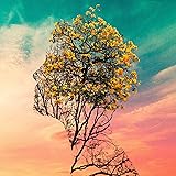 Amazon Music ファーストサマーウイカの帰り花のオリオン Amazon Co Jp