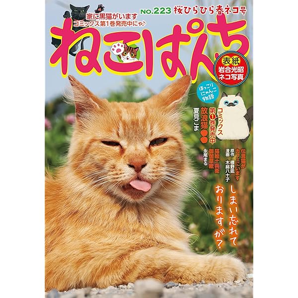 ねこぱんち No.222 ニャーニャーニャー♪号 (にゃんCOMI) | ねこぱんち
