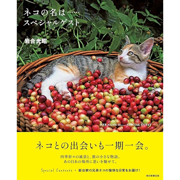 ねこちゃん ねこ22(にゃんにゃん) (ねこのきもち) | 岩合光昭 |本 | 通販