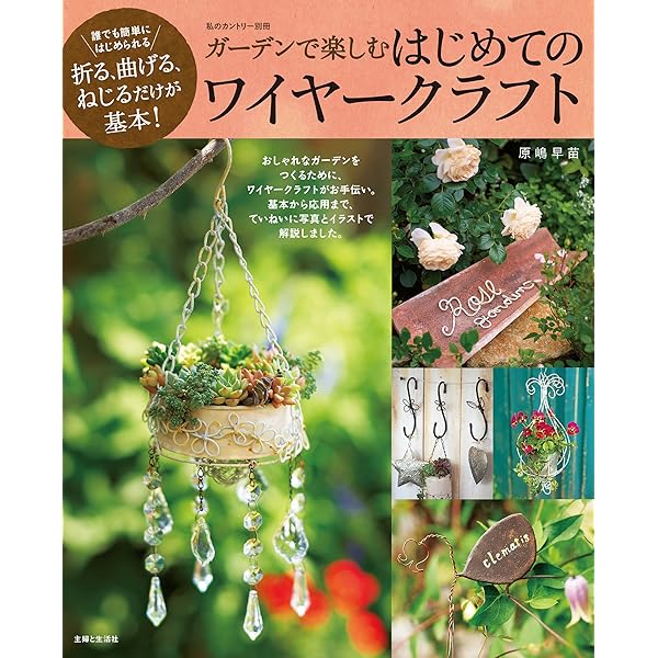 Amazon.co.jp: 偶然のかたち ワイヤーアートの世界 電子書籍: 杉本