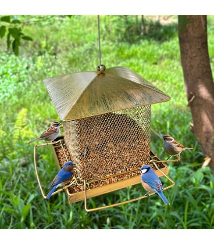 Accessori alimentazione e abbeveraggio Mangiatoia per uccelli sospesa