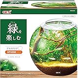 ジェックス GEX AQUARIUM グラスアクア スフィア-N アクアリウム 小型水槽 水草 テラリウム