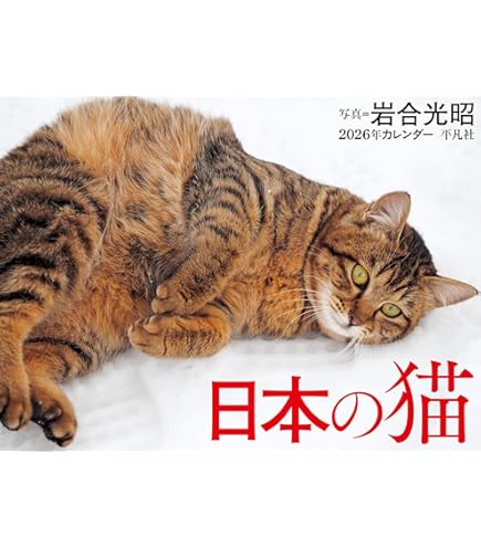 Amazon | カレンダー 壁掛け 【2026 年】 招福ねこ暦 (3か月文字) NK