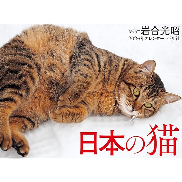 S13】 ねこ日和 2025 Cat Calendar (永岡書店のカレンダー) | 岩合光昭