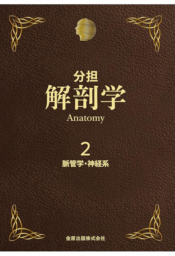 分担解剖学 1-3巻セット　医療 分担解剖学 全3巻セット 分担解剖学 1-3 セット