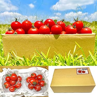 Amazon.co.jp ほしい物ランキング: トマト で、ほしい物リストと