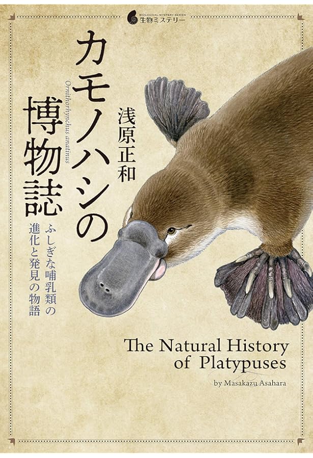 カモノハシページ 本の紹介『ぼくのあいぼうはカモノハシ』