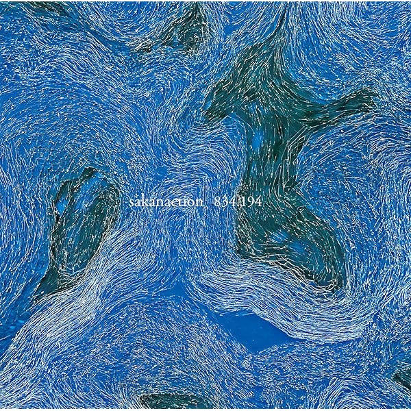 Amazon.co.jp: 合歓る - walls or bridges [二部作完全盤/1,000枚限定