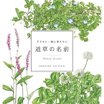 子どもと一緒に覚えたい 野鳥の名前 (momobook) | 山﨑宏, momo編集部