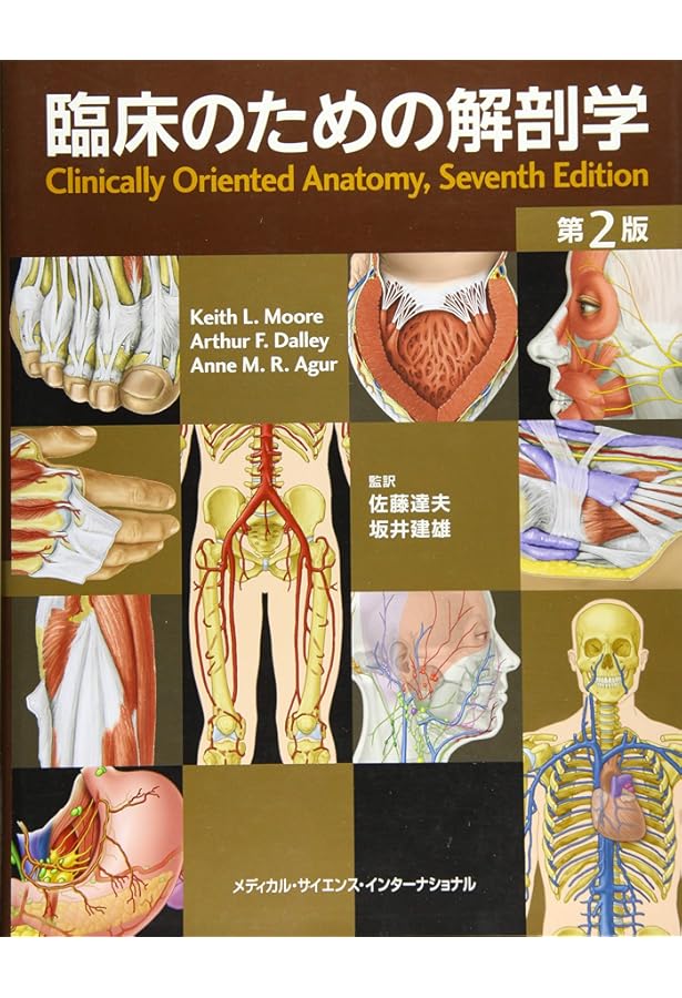 臨床のための脳局所解剖学【裁断済】 91u8QI4tRqL._AC_UF350,