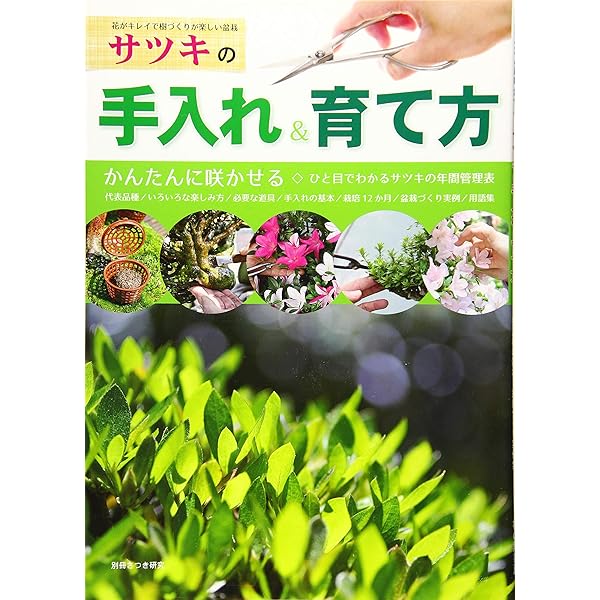 皐月盆栽の作り方 プロから学ぶ技と感性 別冊さつき研究 盆栽 Www Geminicorp Be