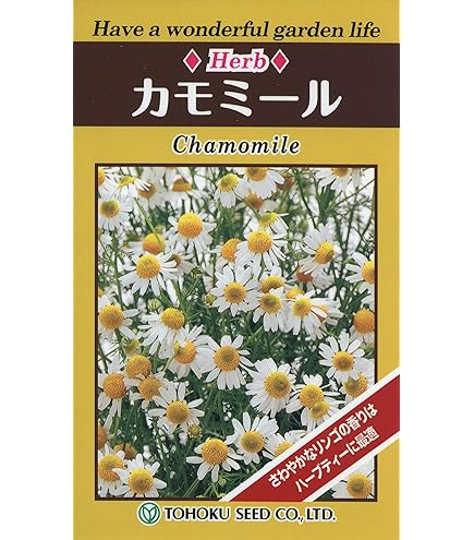 Amazon.co.jp: 植物種子 ローマンカモミール 種 100粒 : DIY