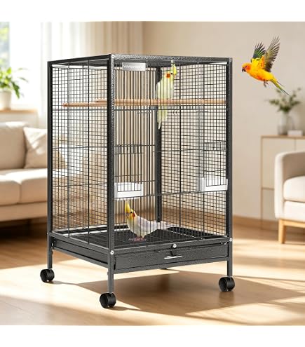 SANKO Easy Home Stainless Steel 37 Bird WH : Amazon.sg: Pet Supplies