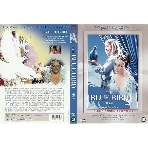 その他 blue bird [DVD] rdzdsi3 Amazon.com: Liz and the Blue Bird [DVD] : Atsumi Tanezaki