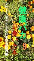 �̂̂��Ƃ�m��s���������w�Ö@�m�����炱�������� ���N�o�J���������{�@vol.9