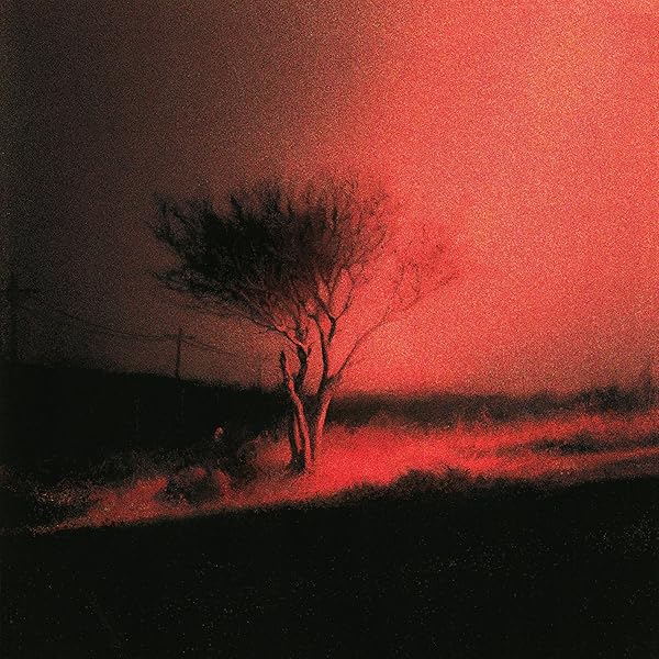 JOJI NECTAR レコード Joji – Nectar – 2 x Vinyl (Red, LP, 45 RPM + 4 more), 2021