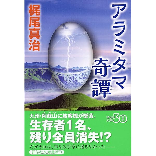 きみがいた時間 ぼくのいく時間-タイムトラベル・ロマンスの奇跡