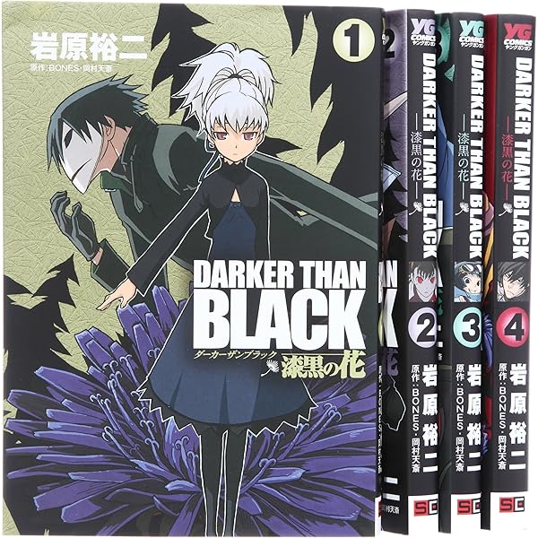 DARKER THAN BLACK-黒の契約者-」 オフィシャルファンブック